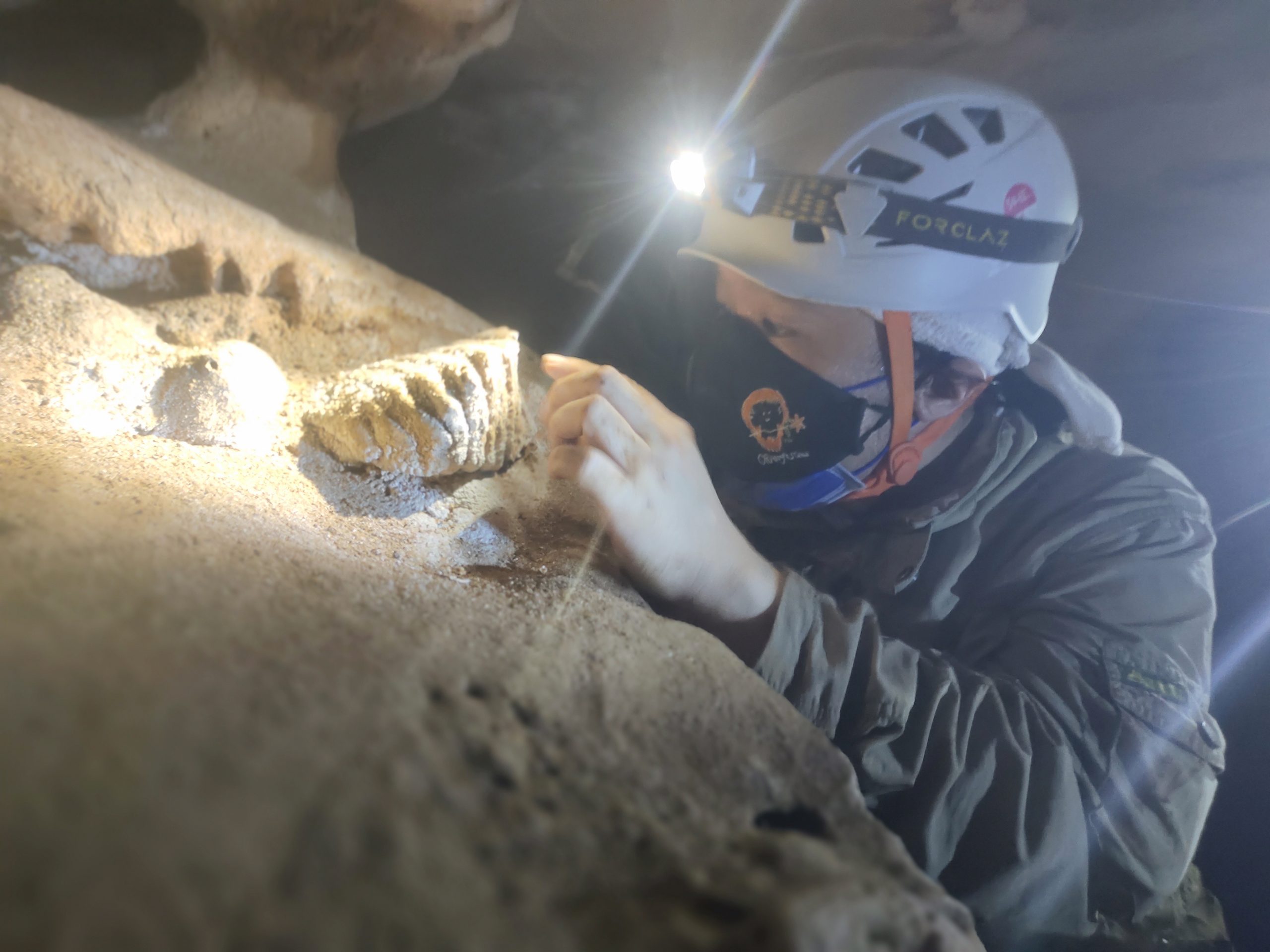 大霹雳时事焦点／近打谷洞穴含丰富物种 发现大象红毛猩猩化石