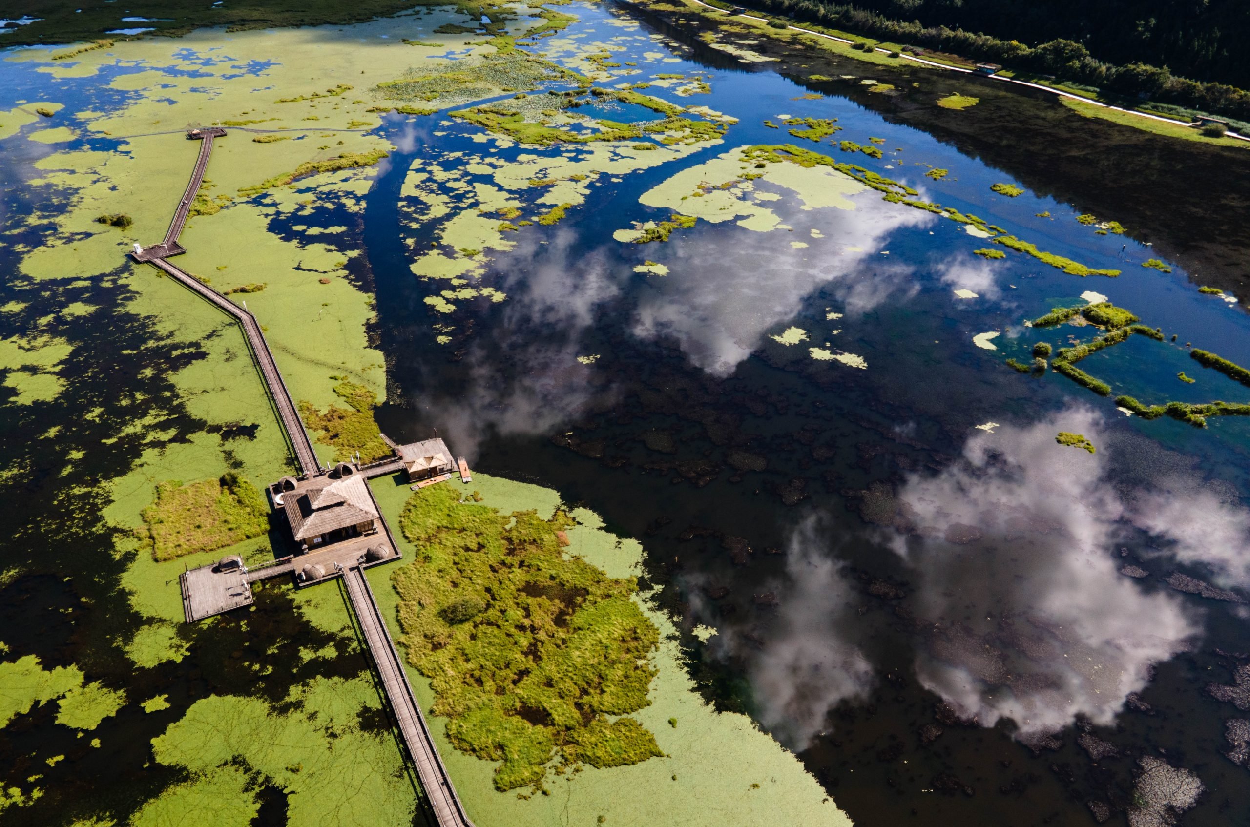 天然湿地：“地球之肾”“物种基因库”