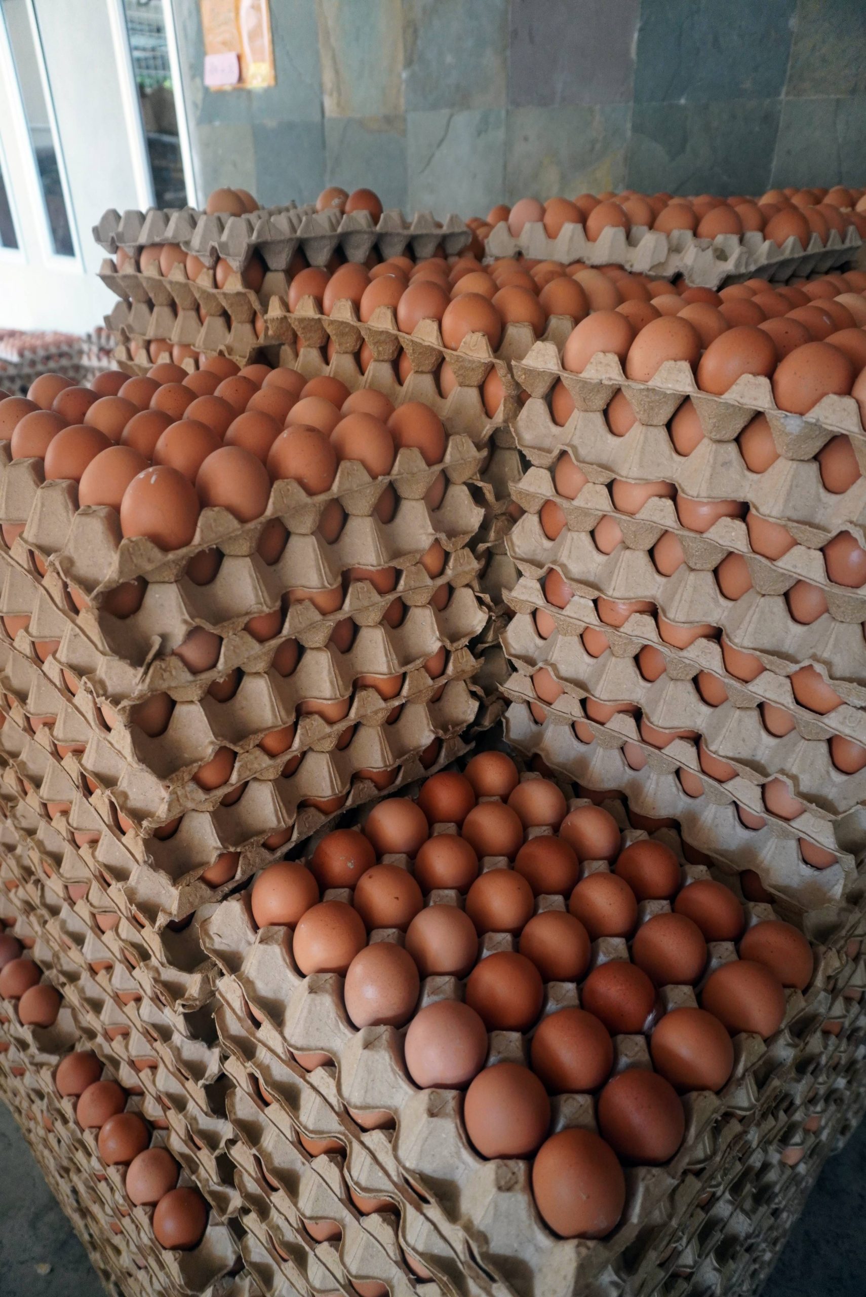 （全国版）除规定净鸡顶价，贸消部也规定鸡蛋维持现有零售价