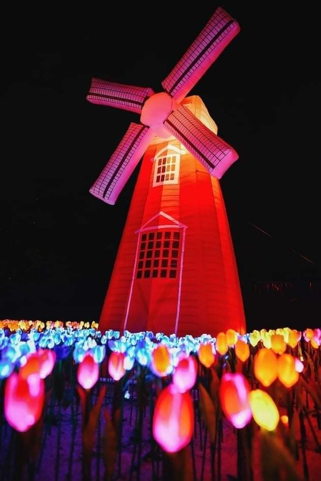 东：配合学校假期，哥市胡姬花公园入夜后举办灯会（PESTA LAMPU TAMAN ORKID），成为哥市新打卡胜地。
