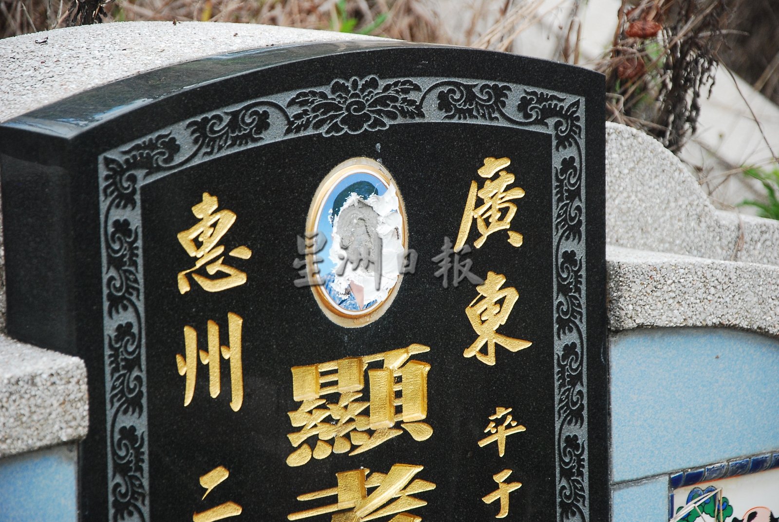 供星洲网：马口华团日莱路义山逾30个坟墓照片被破坏