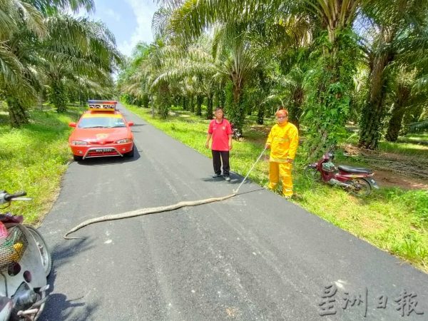 供fb:榕吉志愿消防队，地方上的守护者