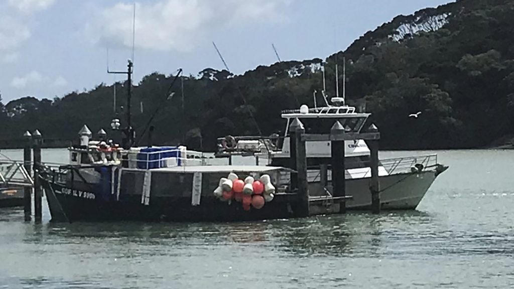 纽西兰渔船遇风暴沉没 4人遇难1人失踪