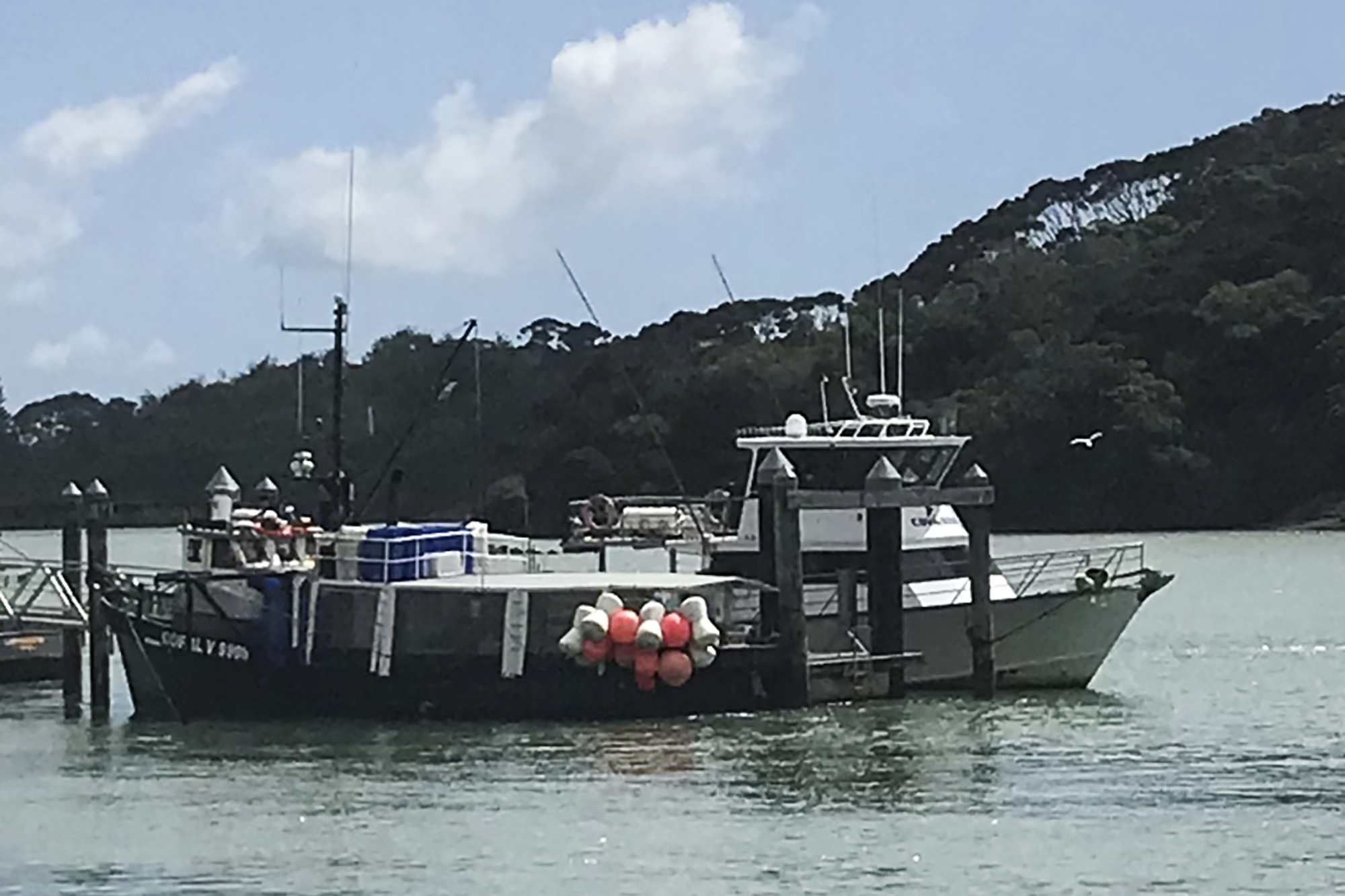 纽西兰／渔船遇风暴沉没 4人遇难1人失踪