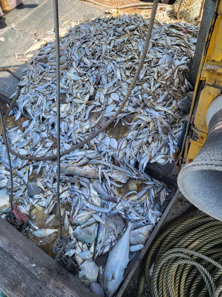 越界捕鱼3渔夫被捕 霹海事机构扣渔船