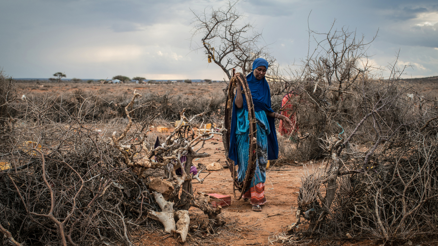 索马里面临10年来最严重干旱，35万儿童面临死亡威胁