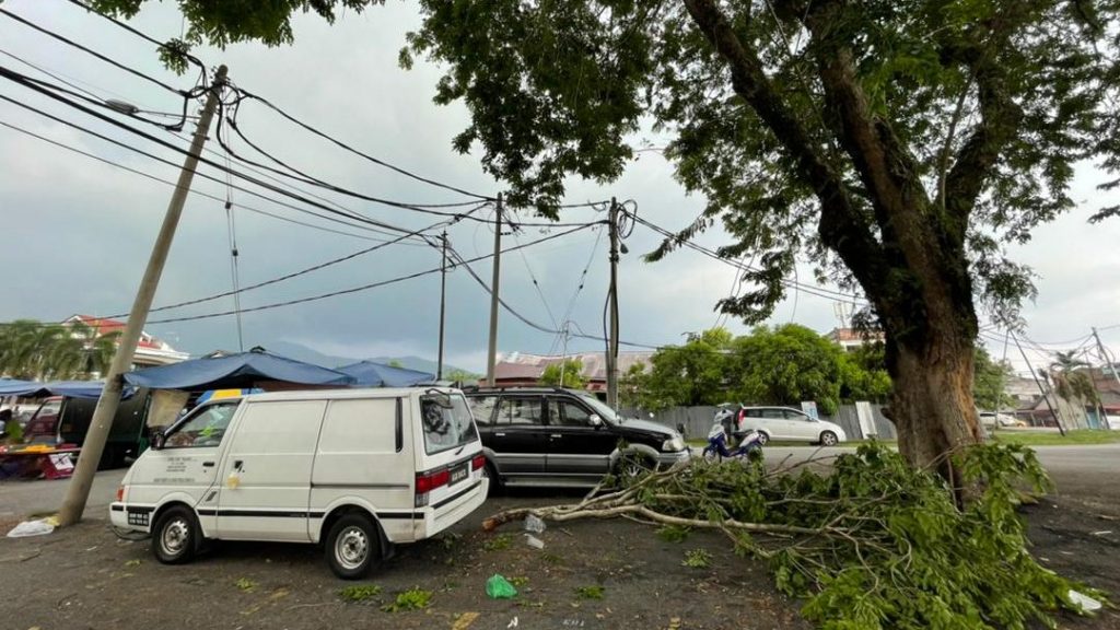 县议会：通过公共保险   雨季倒树损失可索赔　