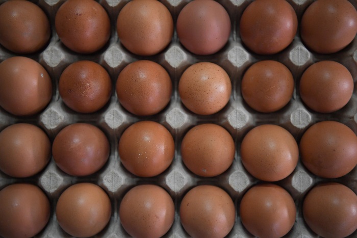 美国爆发禽流感  蛋价飞涨