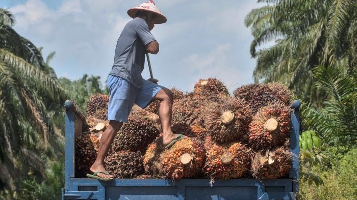 印尼扩大禁令  原棕油产品不准出口 加剧全球食油供应紧张