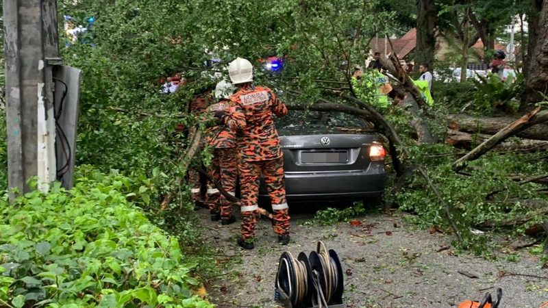 狂风暴雨吹袭 树倒压中2轿车酿3伤
