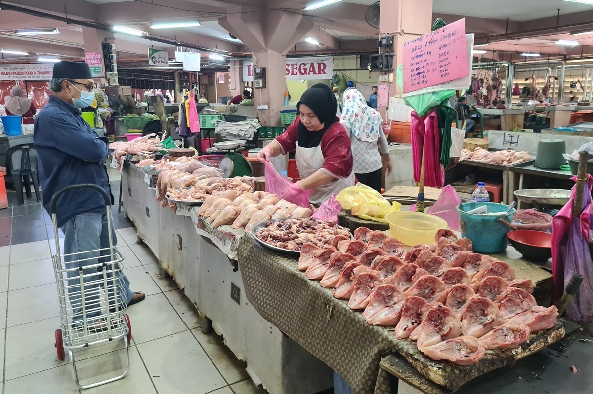 东：丹州鸡只供应近期大约减量50％，鸡肉价格已上升到每公斤10令吉50仙。