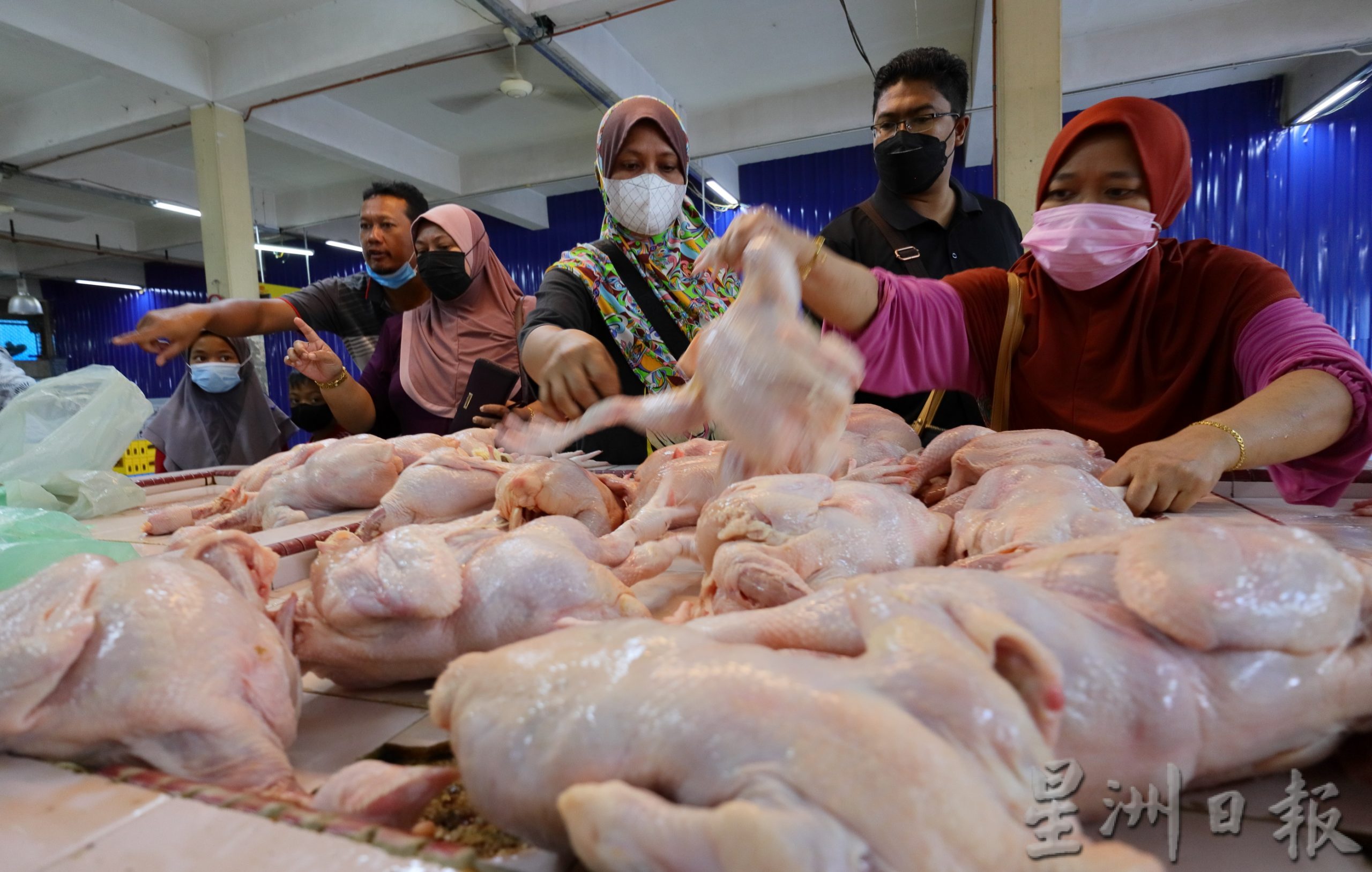 东：肉鸡供应吃紧，鸡只贩商声称从业数十年来首次遇到。