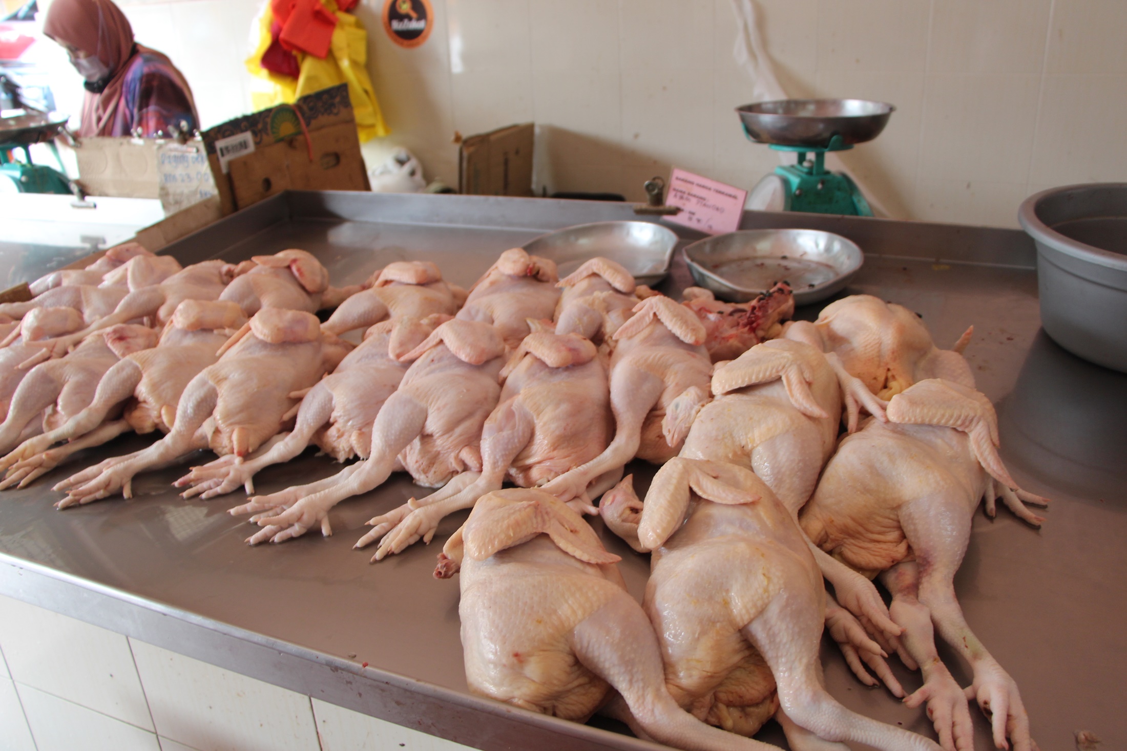 鸡贩应对肉鸡短缺限量供应餐饮业者- 地方- 东海岸| 星洲网Sin Chew Daily Malaysia Latest News and  Headlines