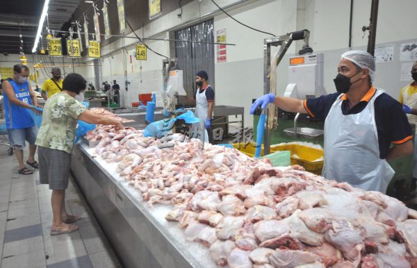 供fb：森州鸡肉供应逐渐恢复，鸡肉市场渐趋稳定