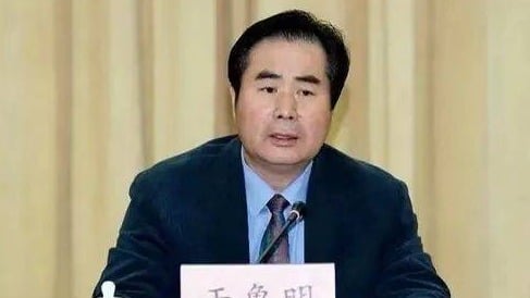 北京卫健委主任于鲁明 涉严重违纪违法遭免职 