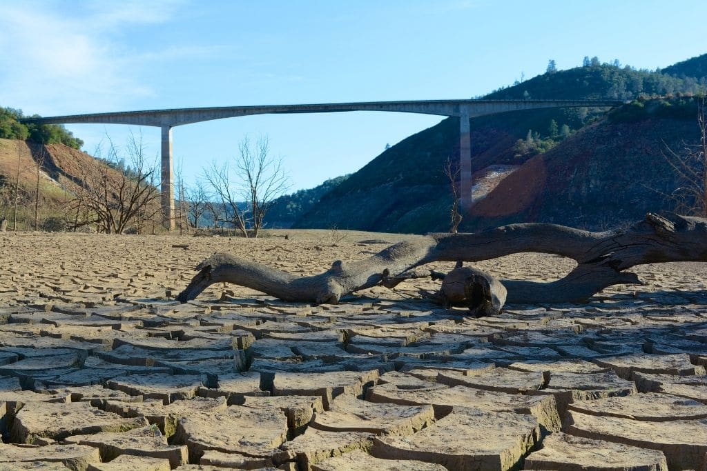 历史性干旱席卷美国加州，加州富人宁交罚款也不节水