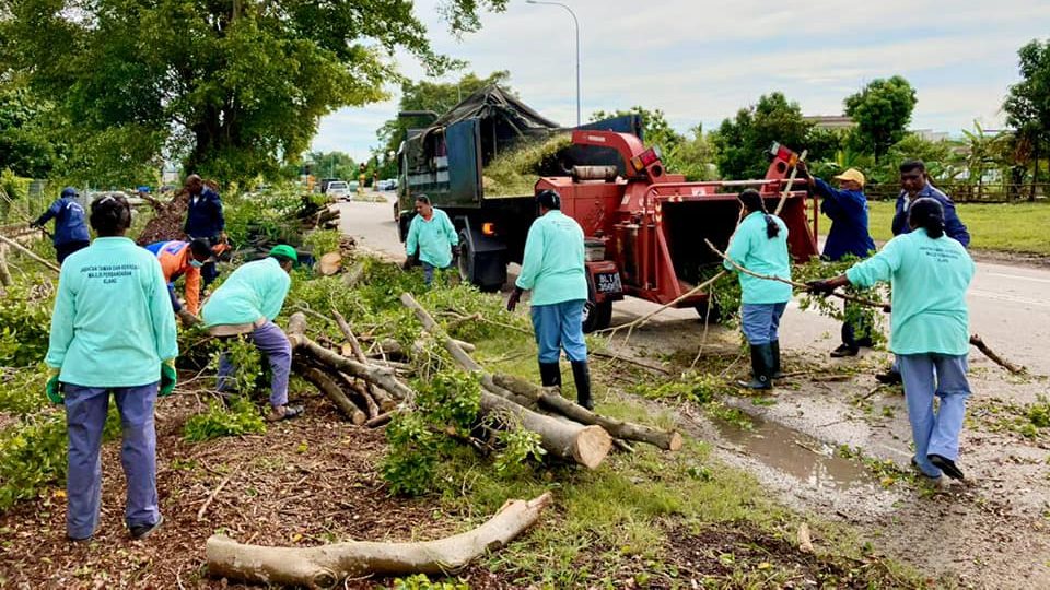 巴生市会动员园艺组 7地点大修砍树木 