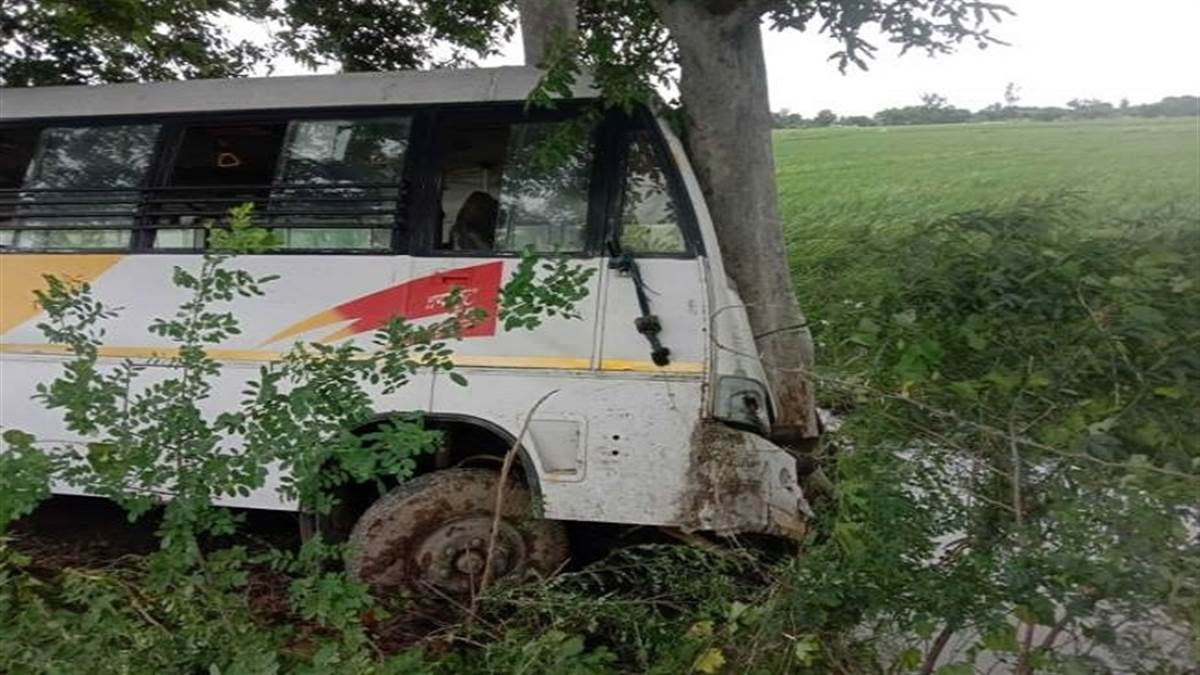 孟加拉巴士撞树至少8死20伤