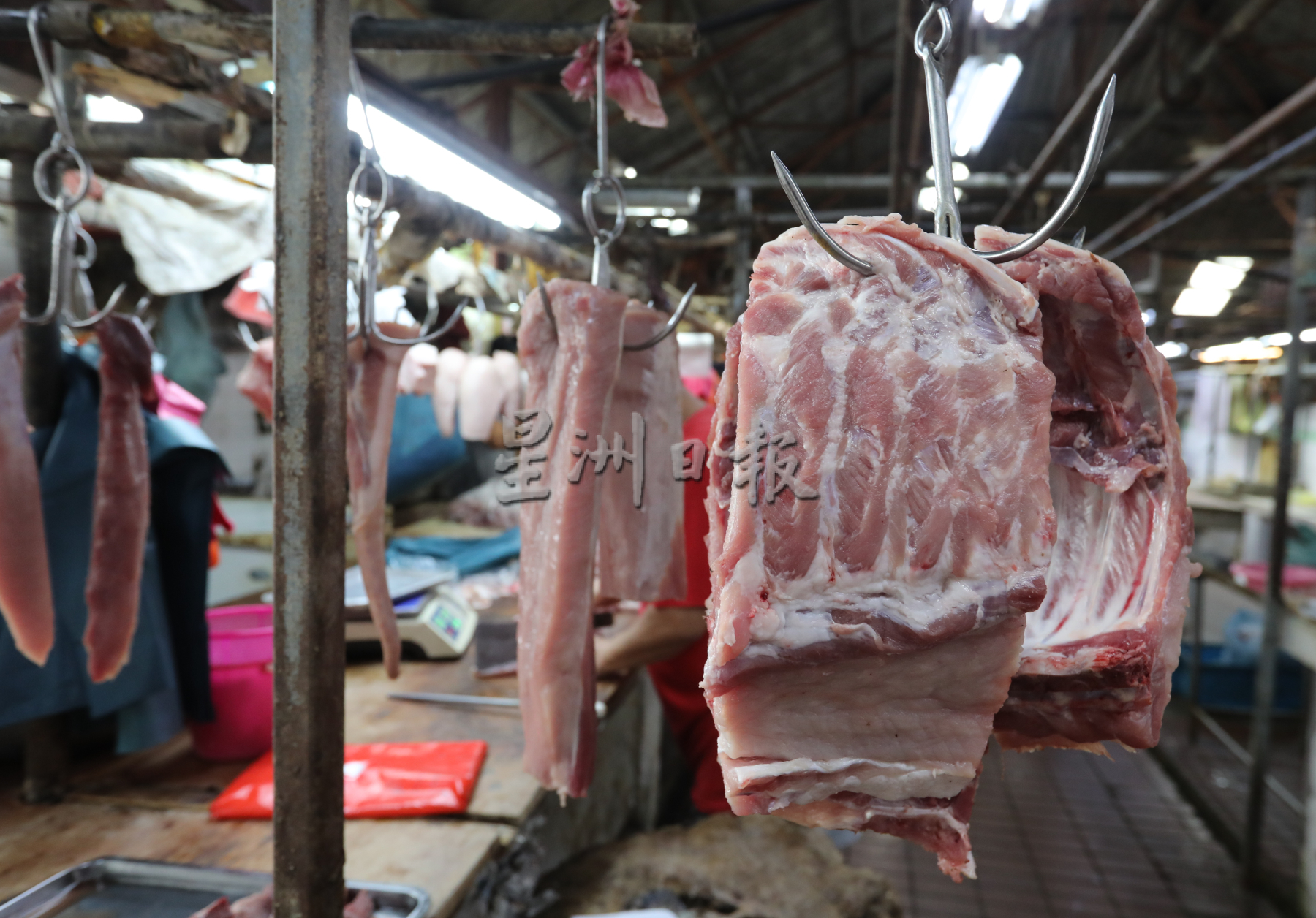 猪肉价连续飙涨，各方苦思对策