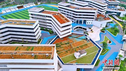 拼盘数 图 江西赣州一中学楼顶建成“空中菜园”