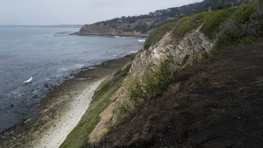 美国洛杉矶海边景点离奇坠崖事件 1死3伤