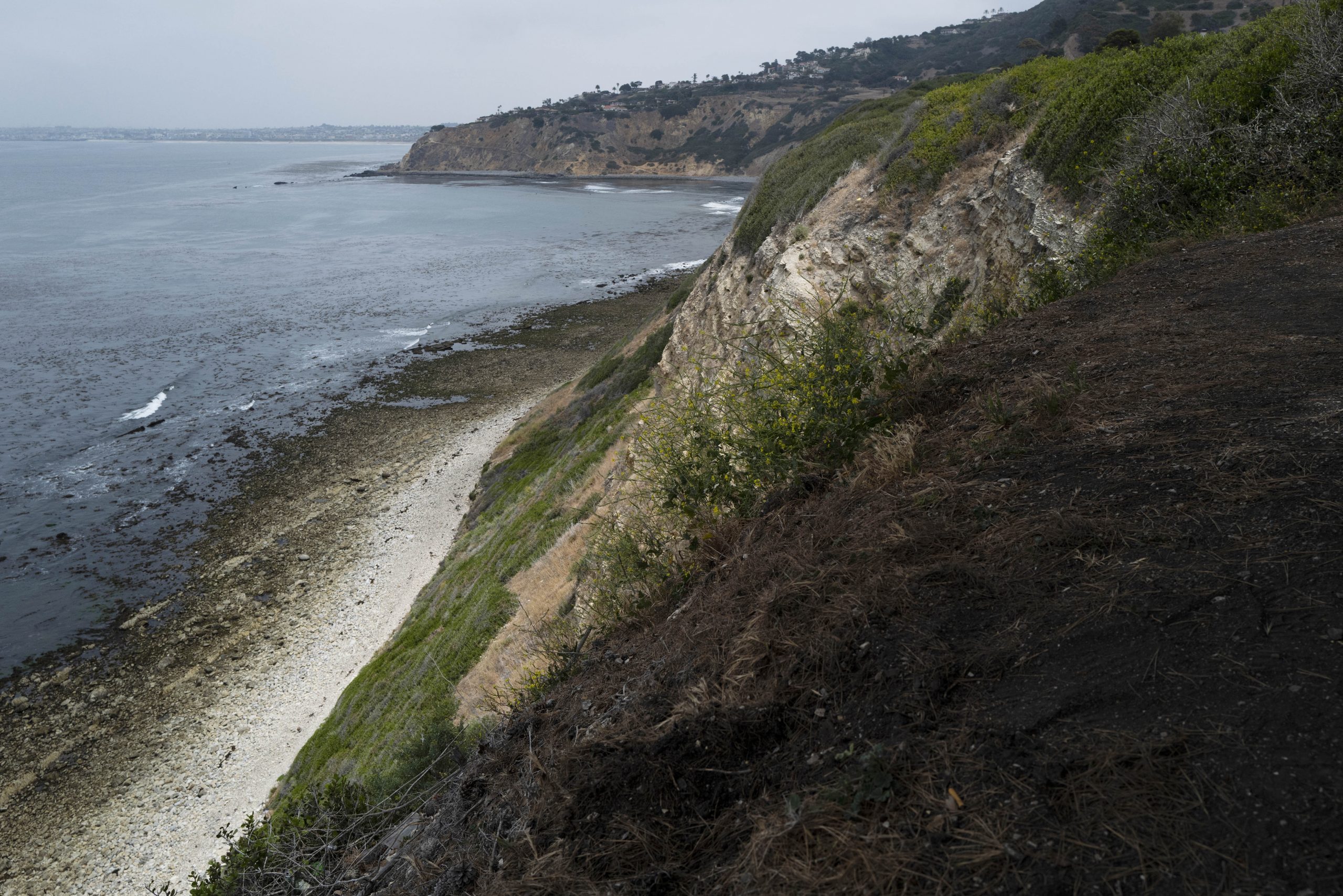 美国洛杉矶海边景点离奇坠崖事件 1死3伤