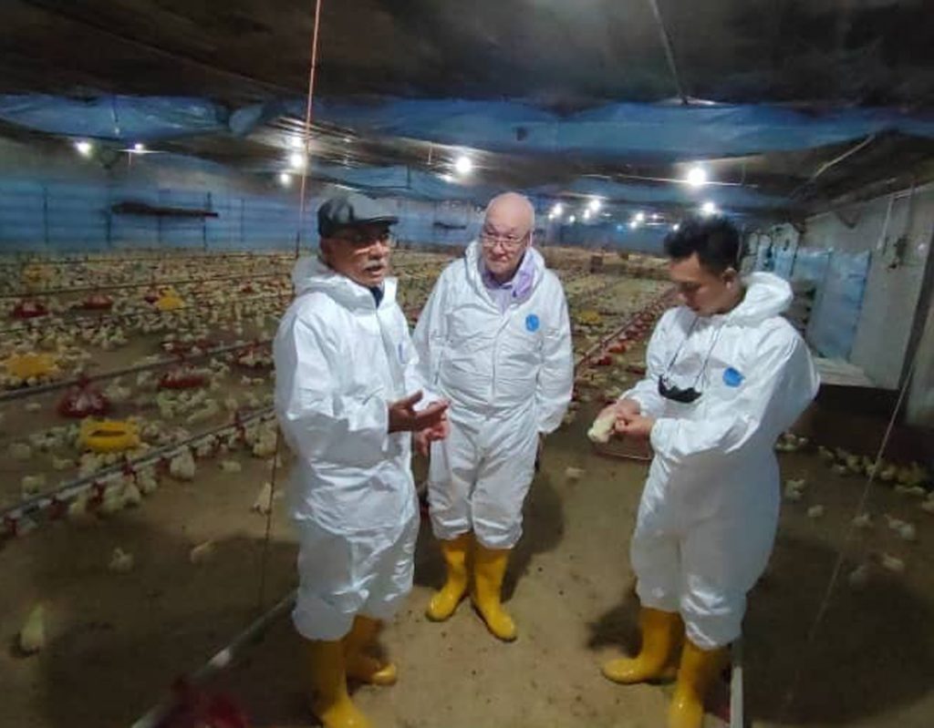 肉鸡顶价6月5日届满后是否中止 农业部长：政府还未决定
