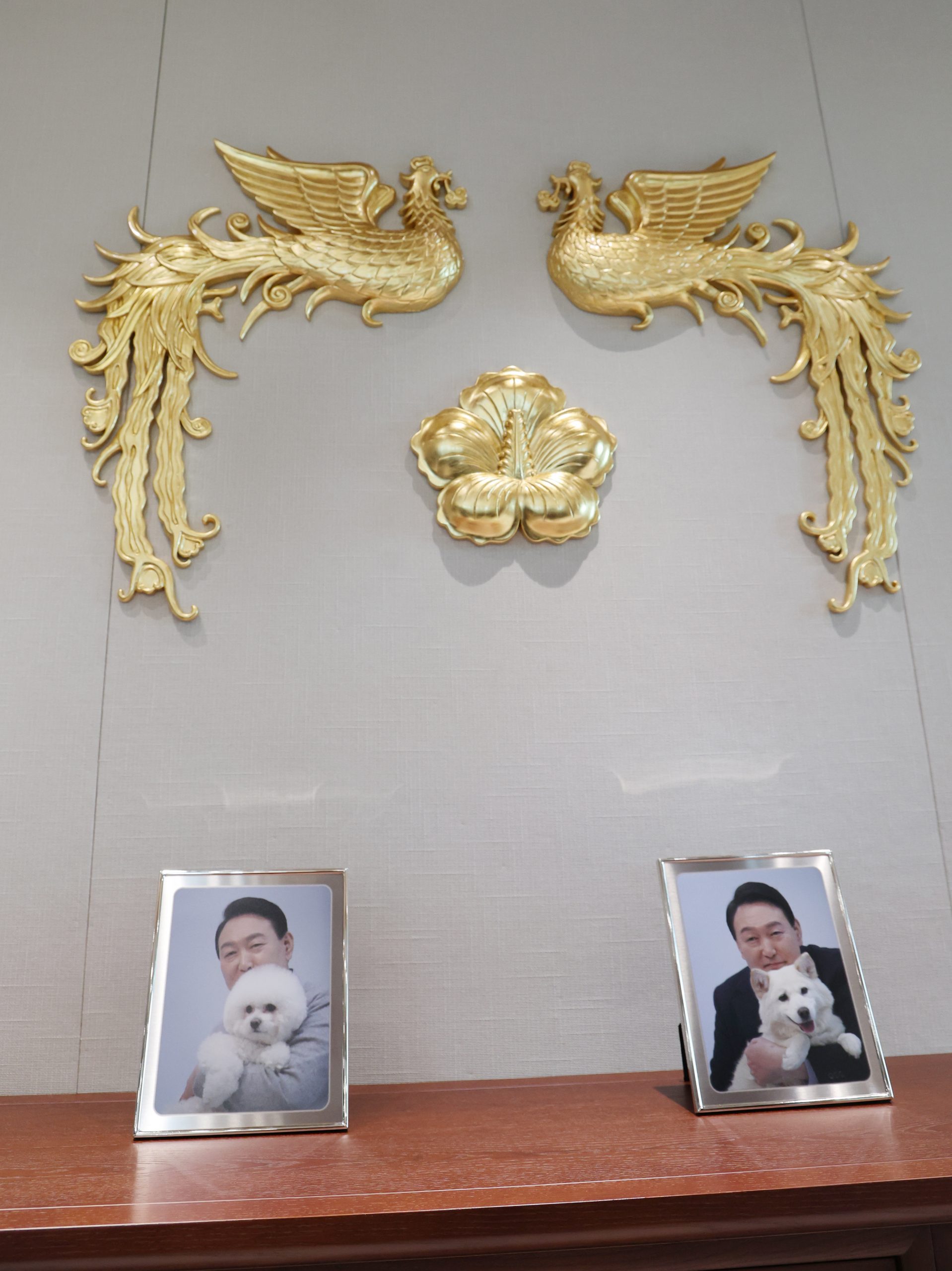 膝下无儿无女  韩新总统办公室桌上拍自己与爱犬合照