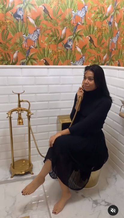 视频|“豪华厕所是幸福天堂？”  网民抨马来女星别乱来