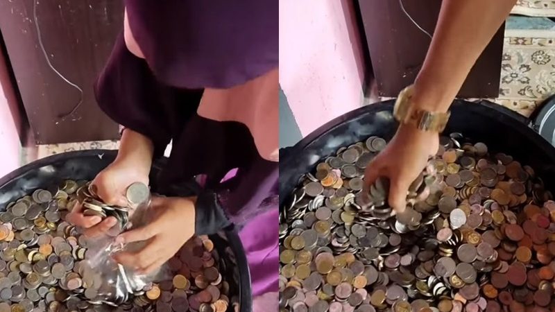 视频 | 女子一桶硬币派青包  5天被掏光