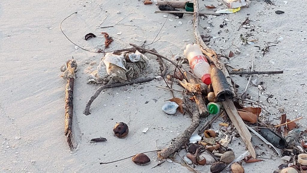 减少海洋塑料污染  游海滩勿留垃圾