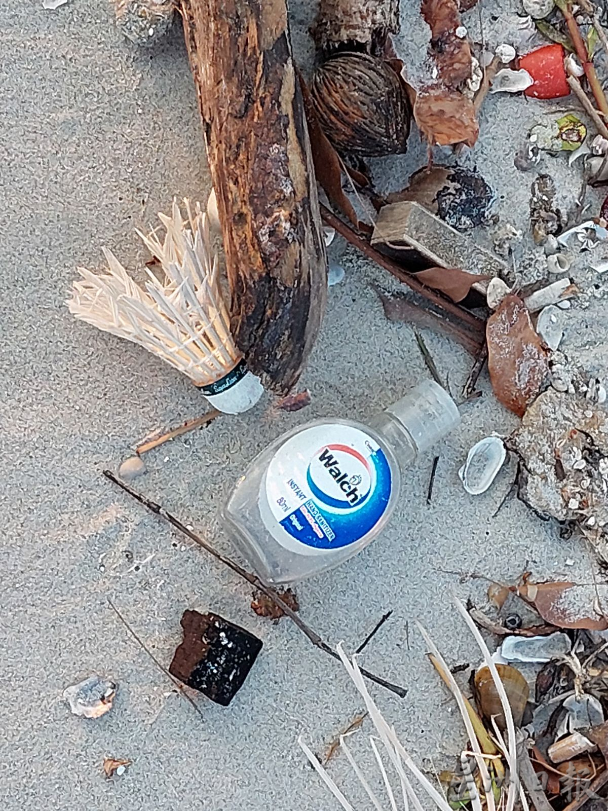 （古城第二版主文）海边留下塑料垃圾，最终使海洋生物及人类受到伤害