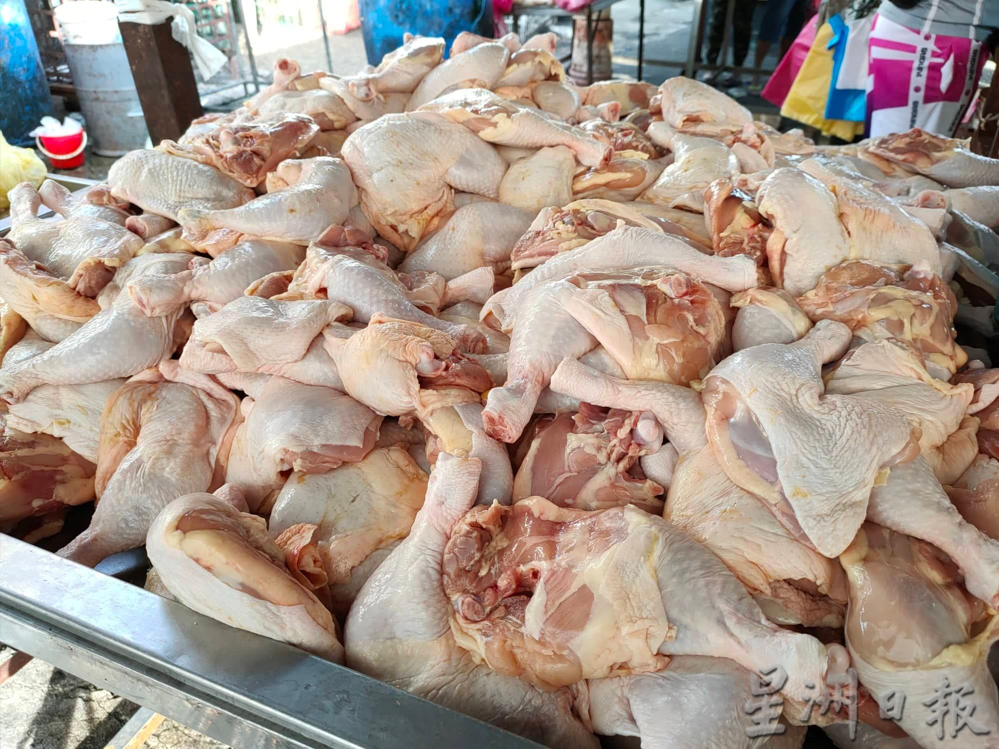 （大北马）槟岛鸡肉供应