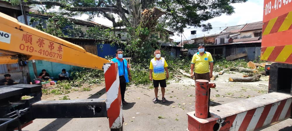（大北马）槟州首长特别协调官行政中心出动2吊车砍危树