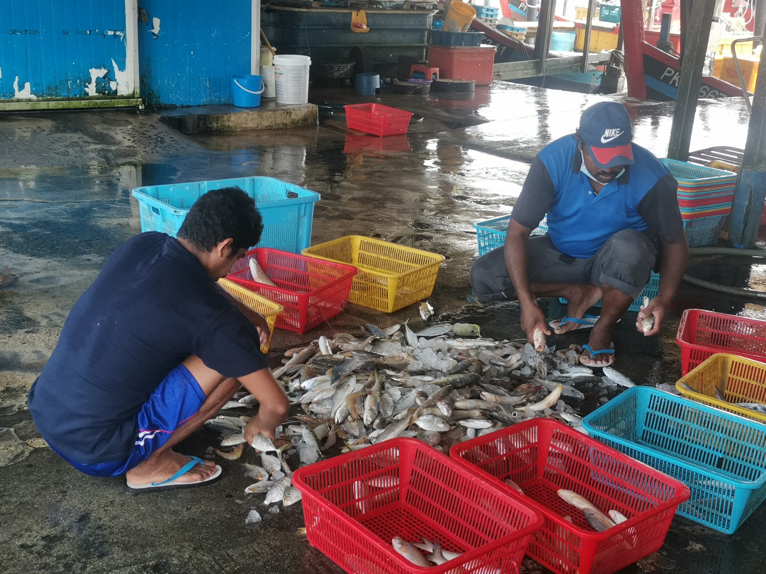 （大北马）海上执法加强及风浪大 渔民少出海 市场大缺鱼获 