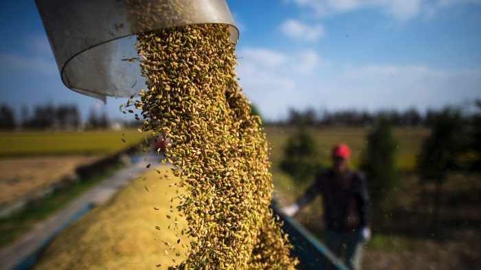 乌克兰战争扰乱全球粮食贸易  食品价保持纪录高位