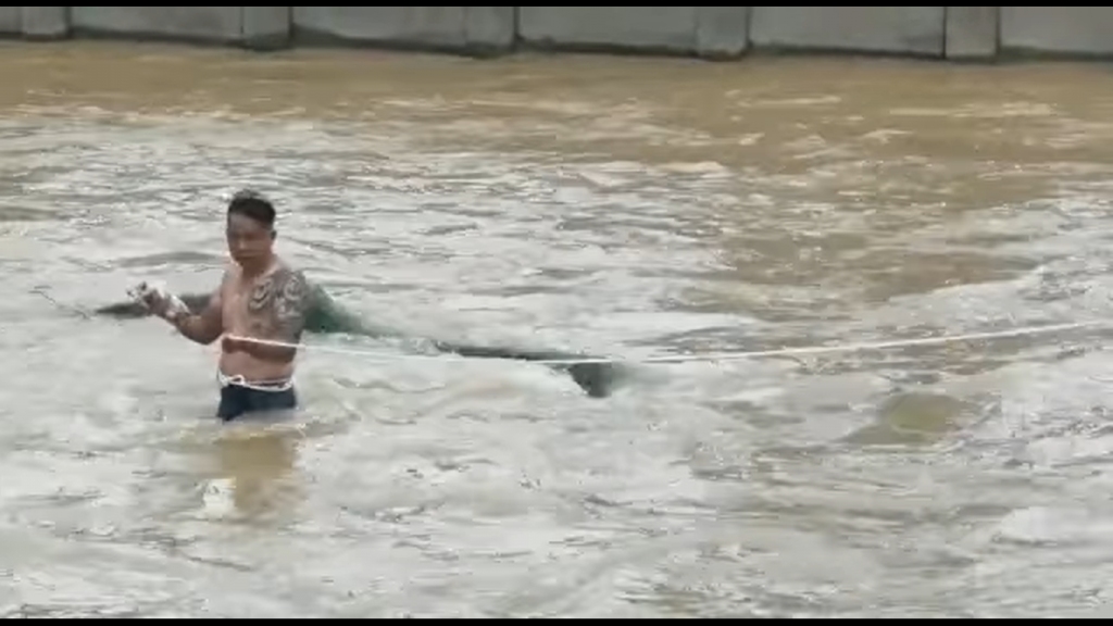 视频 | 大水沟中瑟瑟发抖 华男无惧急流救猫