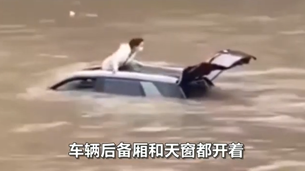 女星坠河身亡疑点重重惊爆3权贵大亨同船- 娱乐- 国外娱乐| 星洲网Sin Chew Daily Malaysia Latest News and Headlines