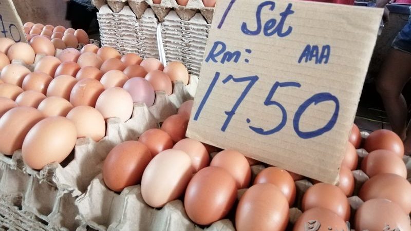砂禽畜业吁取消价格管制  .  让鸡蛋肉鸡价自由浮动