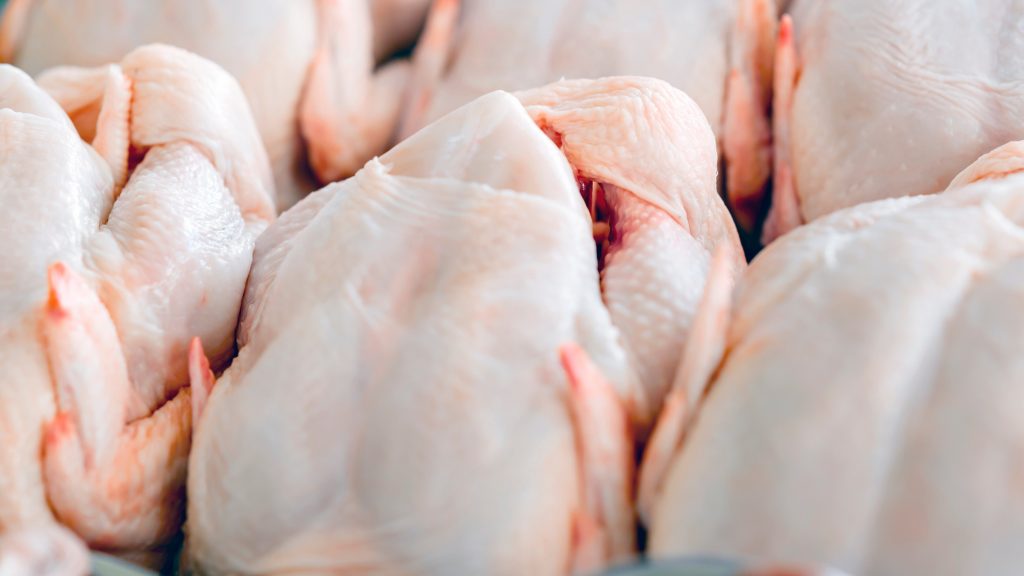 西马肉鸡顶价每公斤RM9.40 鸡蛋介于41至45仙