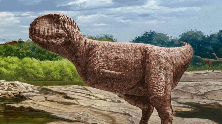 “斗牛犬脸”恐龙埃及出土　 9800万年前称霸撒哈拉