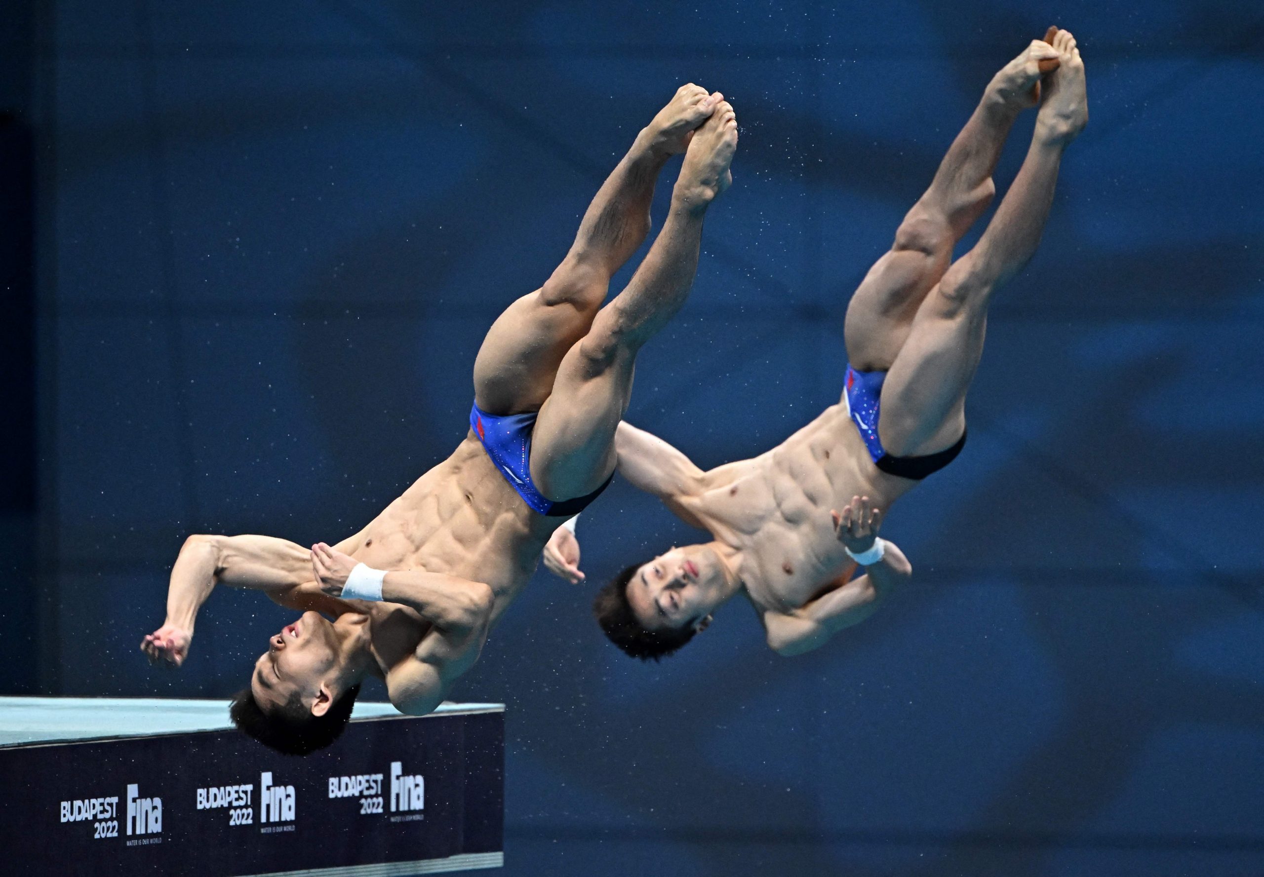 世界水上运动锦标赛| 单日再跳出2金  中国跳水队百金在望