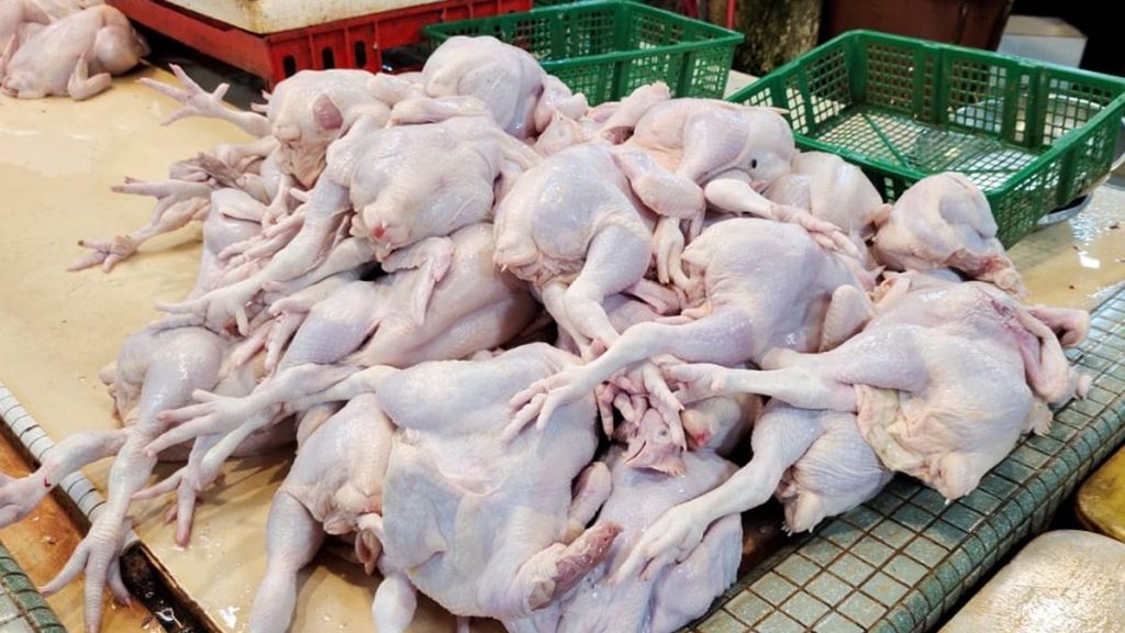 陈国明：未来几周陆续运抵  狮城扩大鸡肉供应来源