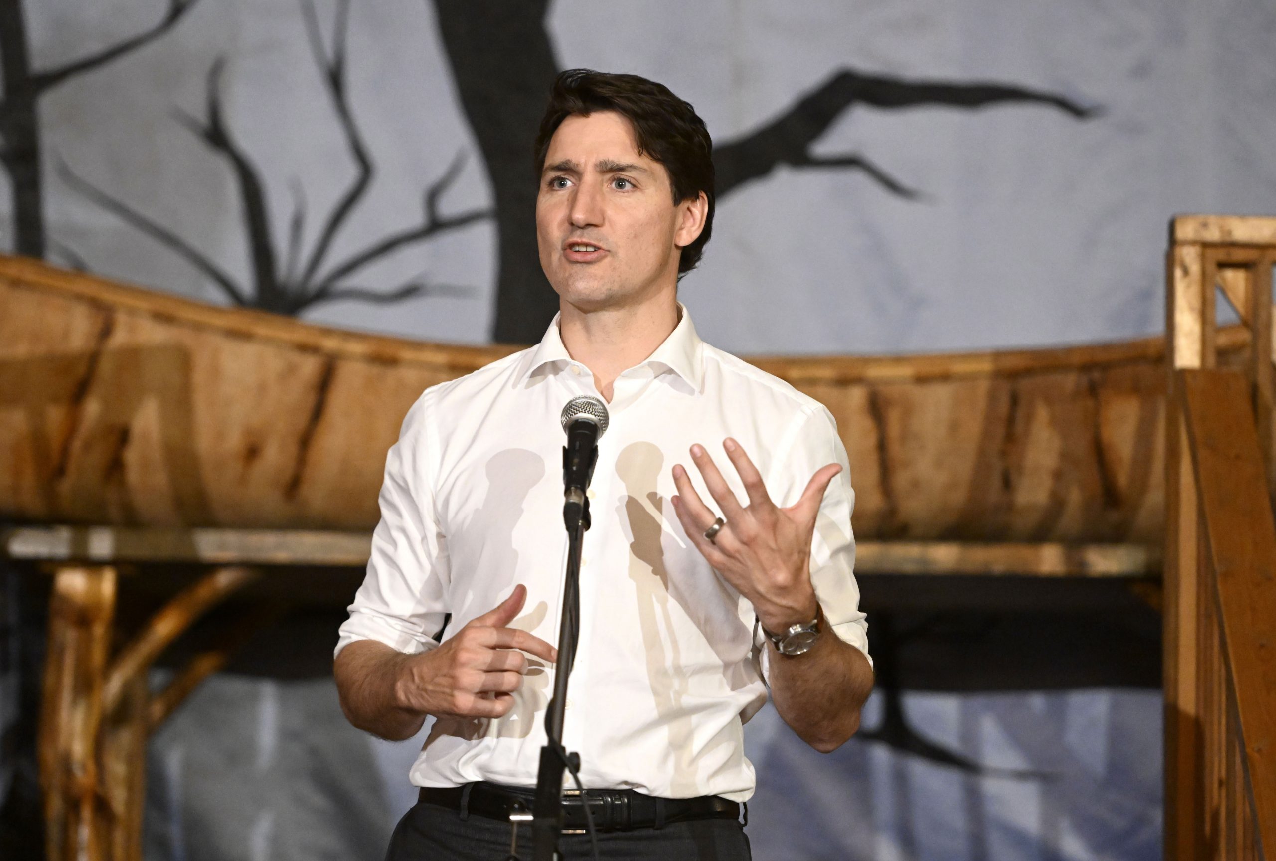 加拿大总理又陷干预疑云 众议院将进行调查