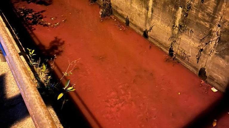 疑工厂污水导致  巴生英达岛河水染红