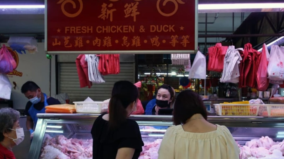 **已签发**全国（新加坡新闻）：马活鸡出口禁令即日生效，狮城摊贩：鲜鸡供应或撑不过一周