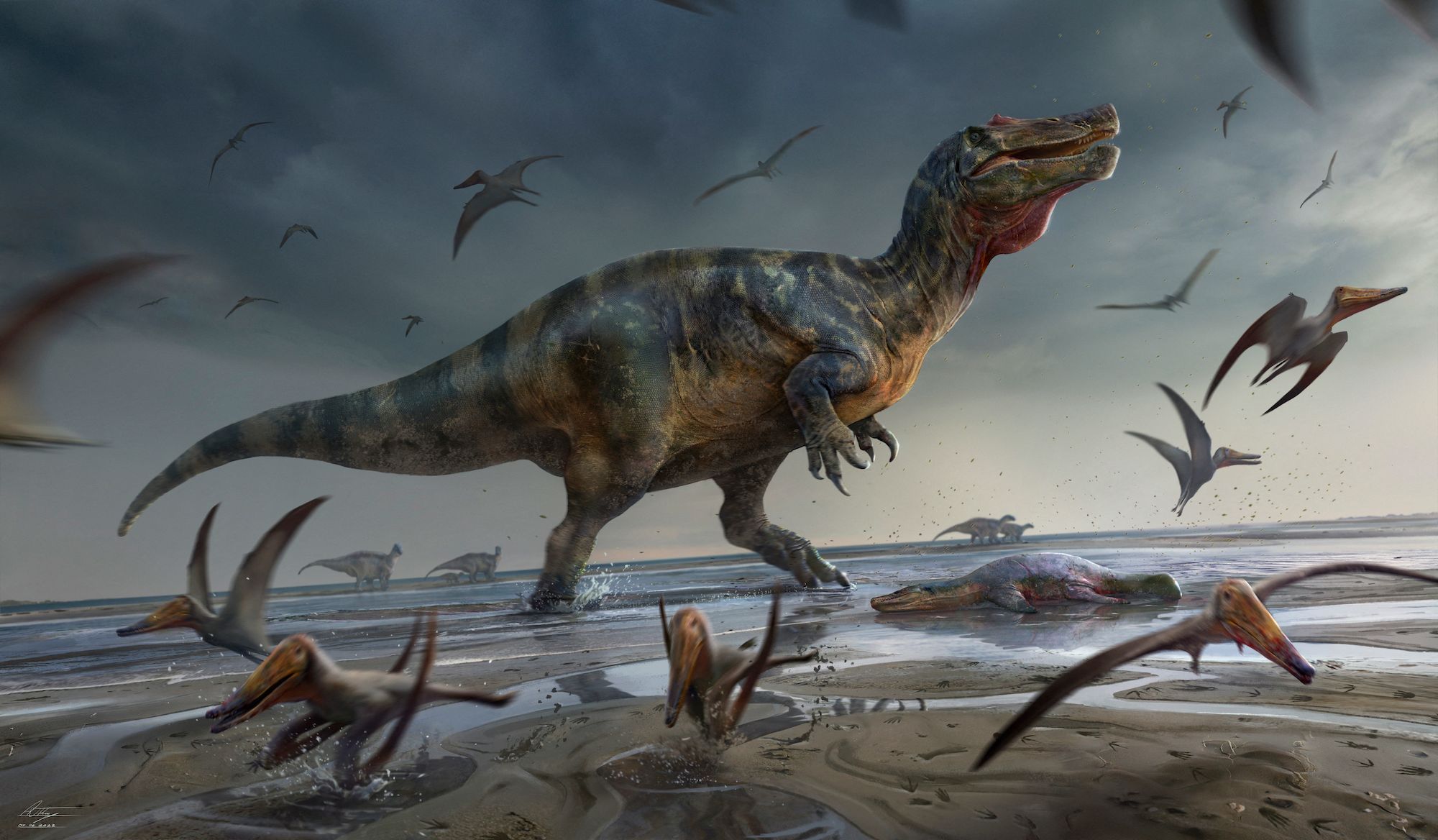 怀特岛出土恐龙骸骨　或成全欧最巨肉食龙化石