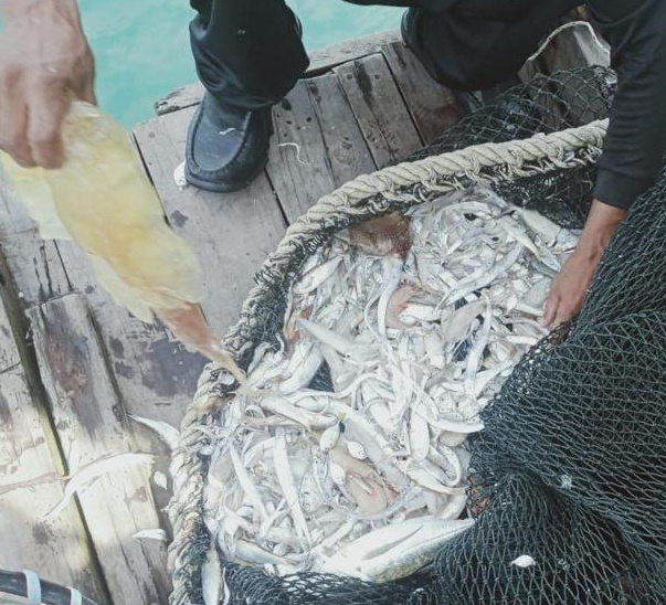 涉违渔业法移民法 2地扣2船7外籍渔夫