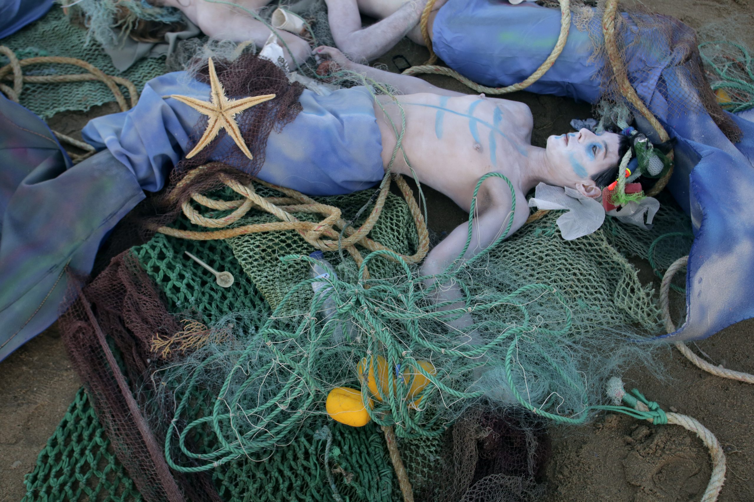联合国统计：35%渔获在上餐桌前遭丢弃，我们正在不断消耗海洋