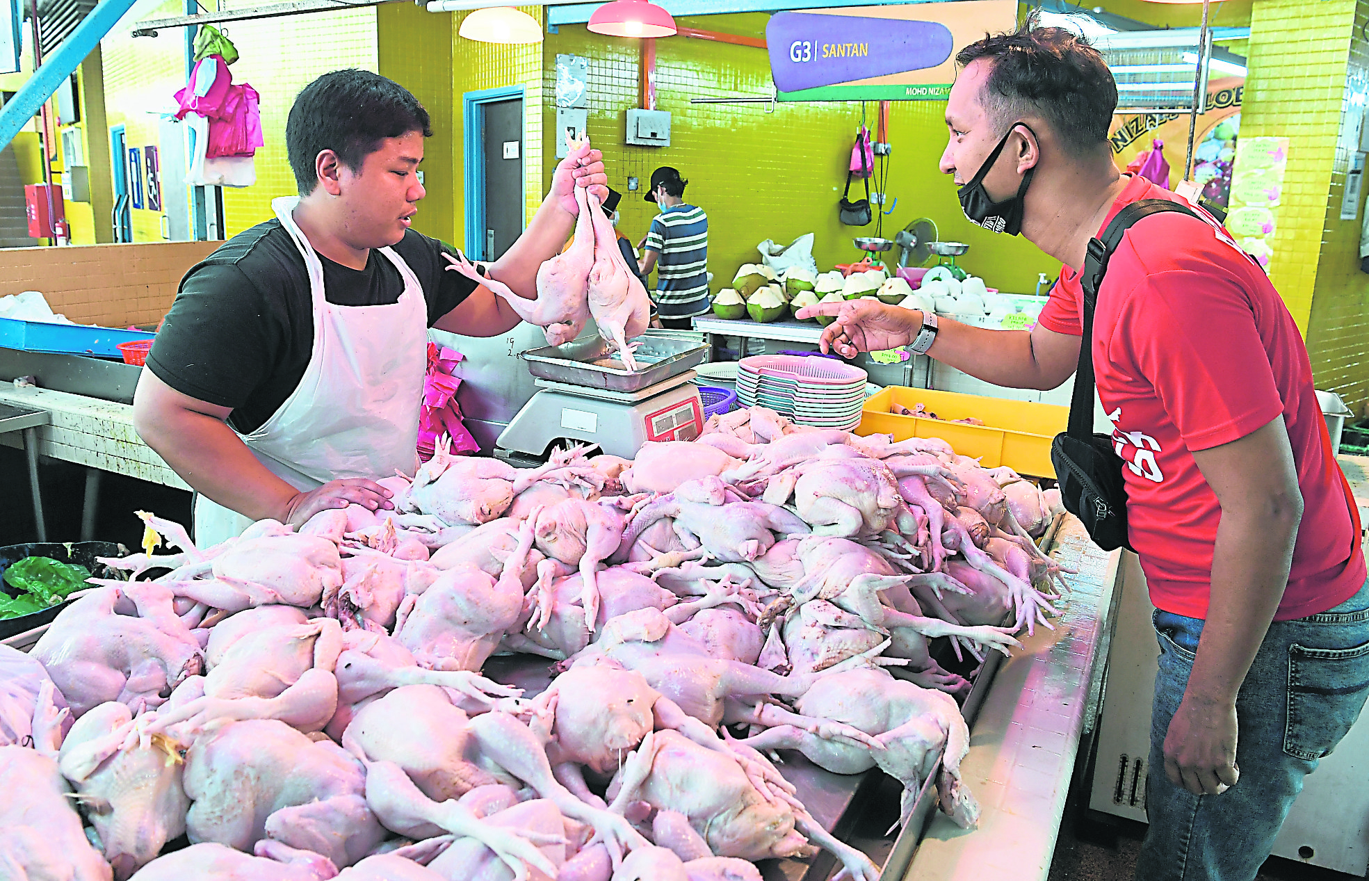 肉鸡新顶价每公斤该多少钱？